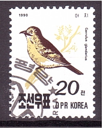 serie- Pajaros