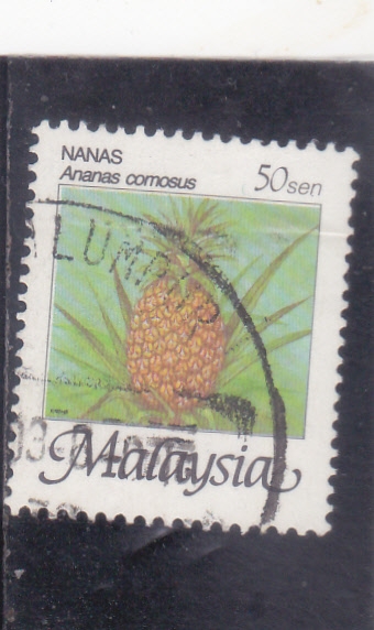 piña tropical 