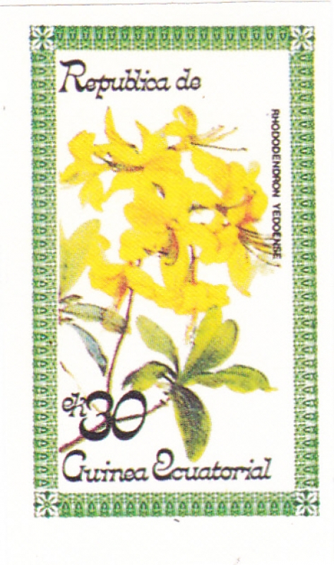 flores-