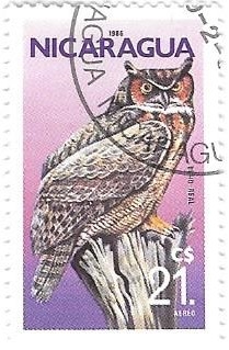 aves