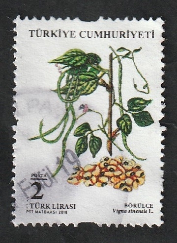 3871 - Flora, legumbres