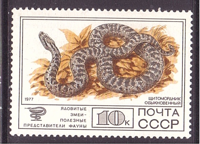 serie- Fauna salvaje