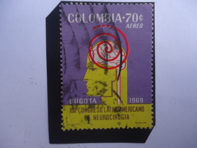 XIII Congreso Latinoamericano de Neurocigía, Bogota - 13a Edición
