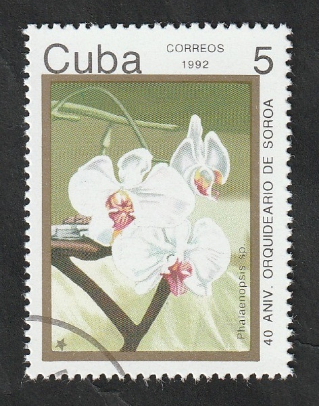 3219 - 40 Anivº orquideario de Soroa