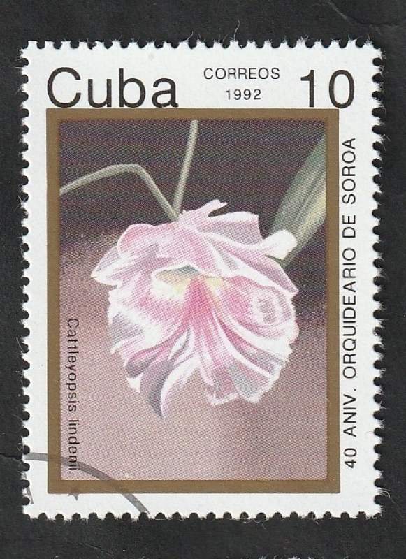 3220 - 40 Anivº orquideario de Soroa