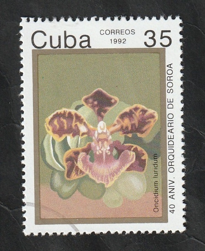 3222 - 40 Anivº orquideario de Soroa