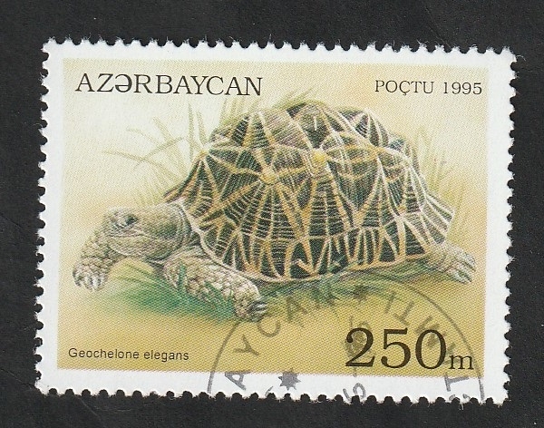 218 - Tortuga