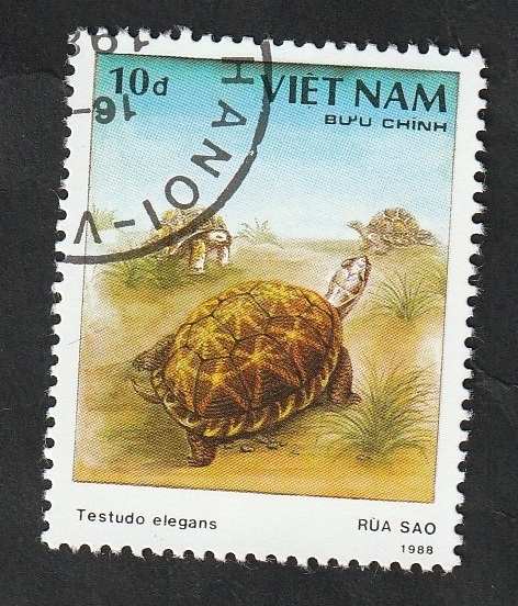 868 A - Tortuga
