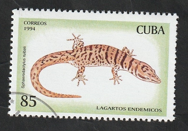 3415 - Lagartos endémicos