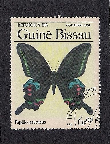 Mariposa
