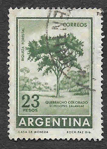 701 - Riqueza Forestal