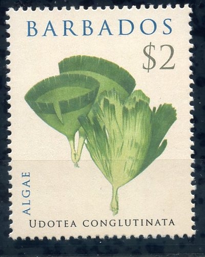 Productos del mar