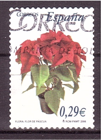Flor de Pascua