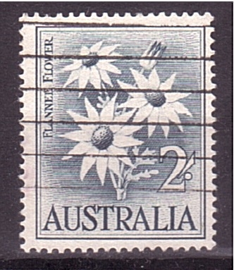 serie- Flora
