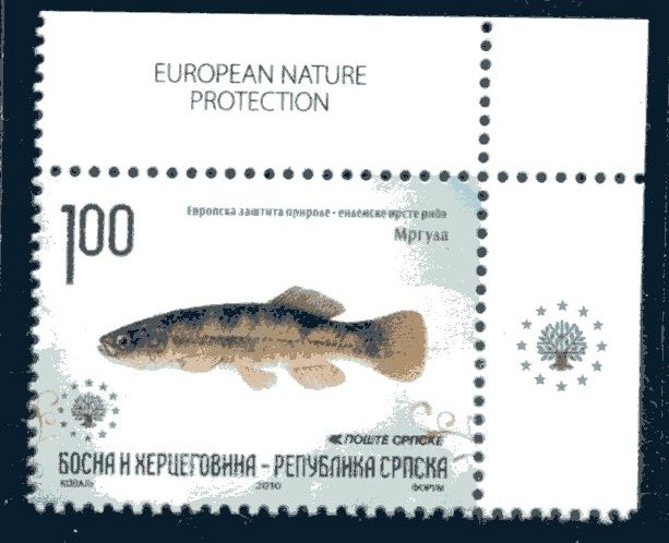 Productos del mar