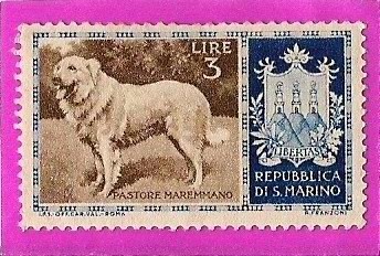 Animales
