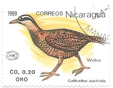 aves
