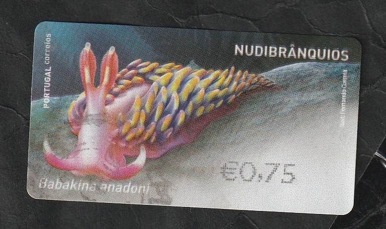 Fauna marina animal, babakina anadoni