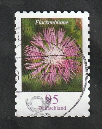 3256 - Flor