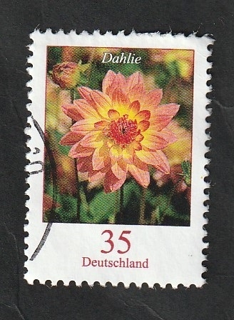 2382 - Dália