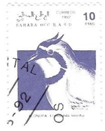 aves