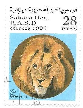felinos