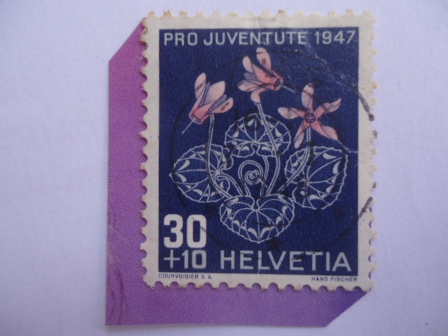 Pro Juventute 1947- Alpine Cyclamen-Alpine Flower, Jacobo Burchardt.