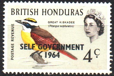 AUTO  GOBIERNO  1964