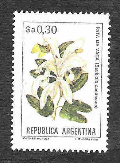 1525 - Pata de Vaca