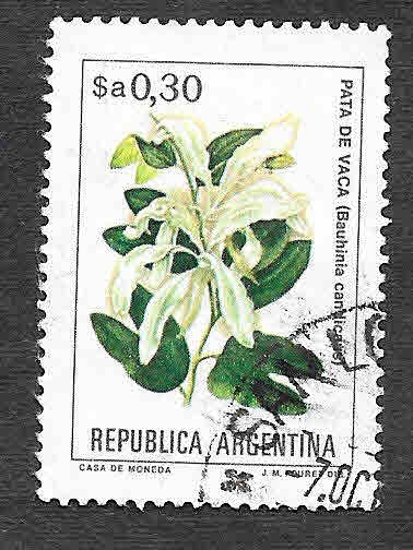 1525 - Pata de Vaca