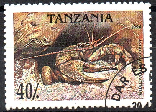 CANGREJOS.  ASTACUS  LEPTODACTYTUS.  Scott 1295.