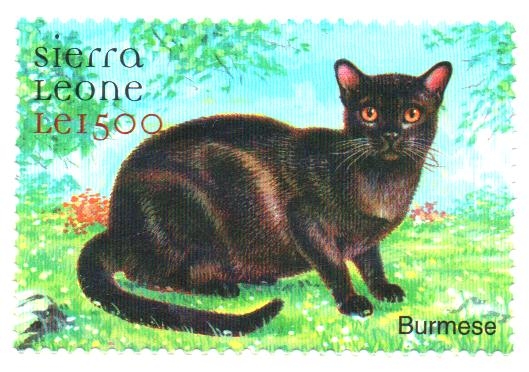 PERROS  Y  GATOS.  BURMESE.  Scott  2331.