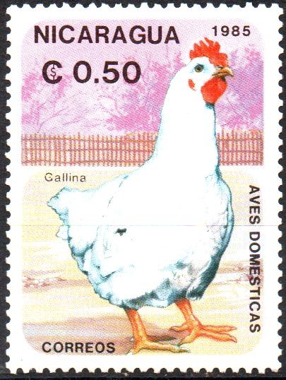 AVES  DOMESTICAS.  GALLINA.  Scott 1466.