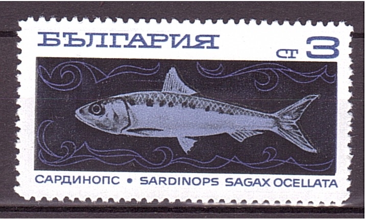 serie- Peces de aguas profundas