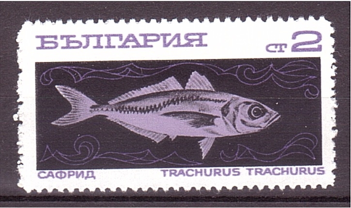 serie- Peces de aguas profundas