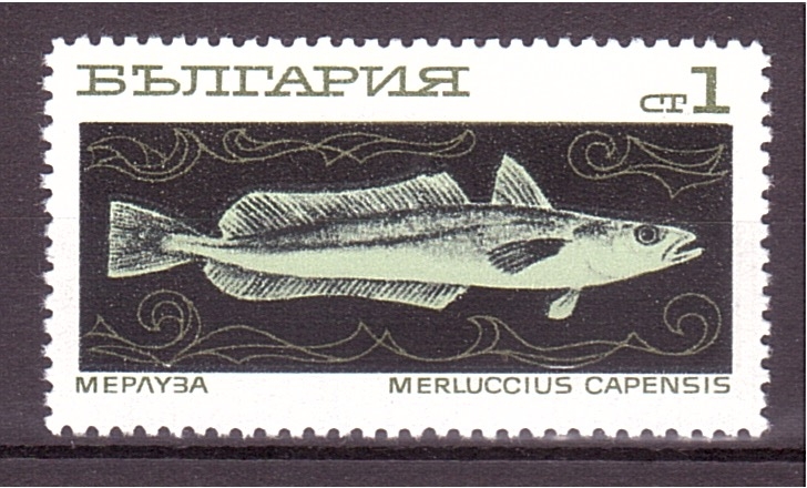 serie- Peces de aguas profundas