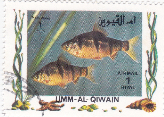 PECES TROPICALES