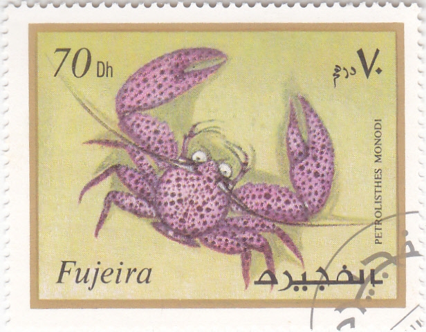 CRUSTACEO