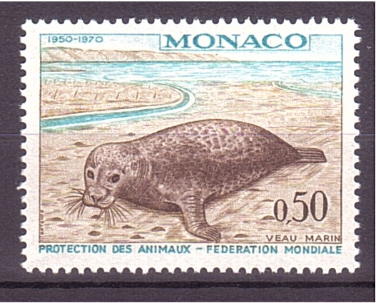 20 aniv. federación mundial protec. de los animales