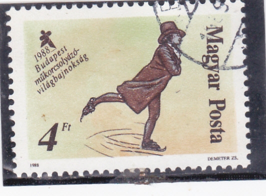 PATINADOR