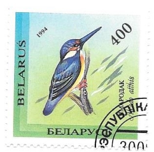 aves