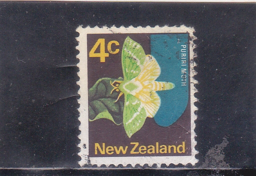 mariposa