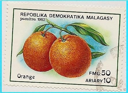 Naranjas
