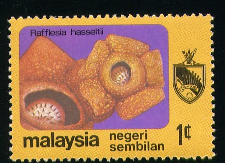 Negeri Sembilan
