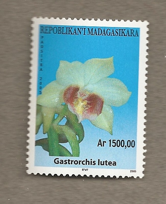 Orquideas de Madagascar