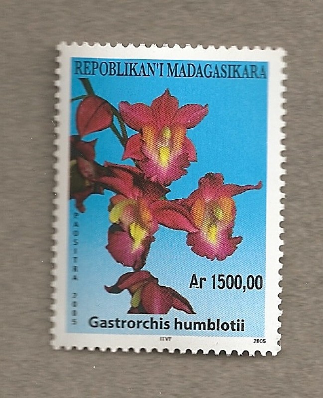 Orquideas de Madagascar