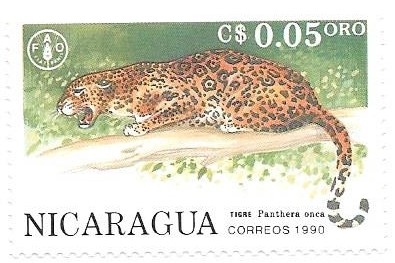 jaguar