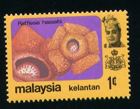 Kelantan