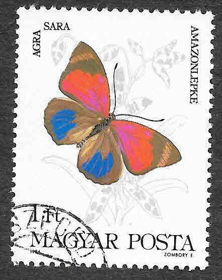2852 - Mariposa