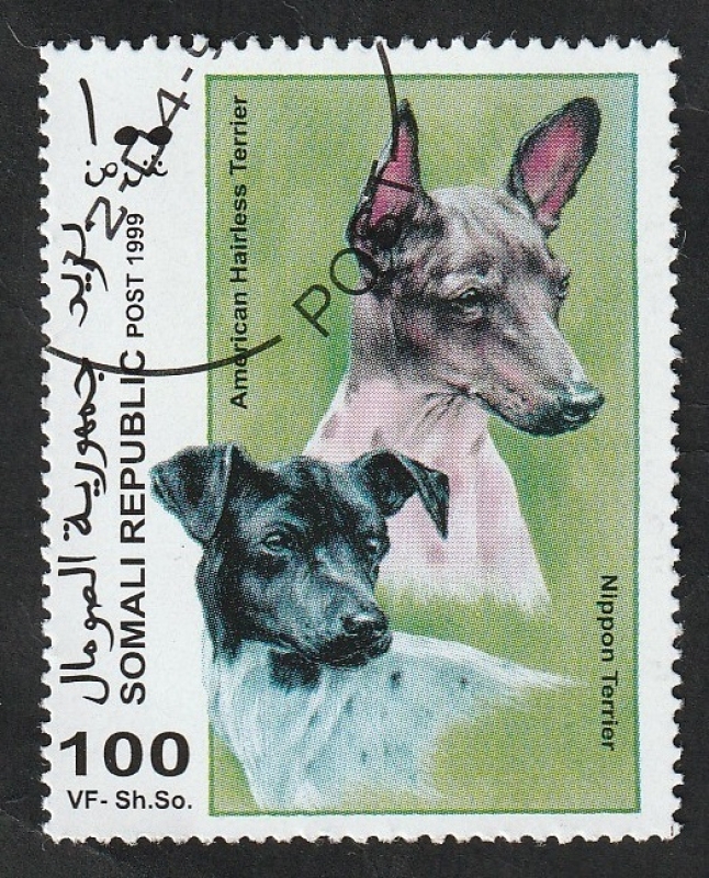 Perros de raza